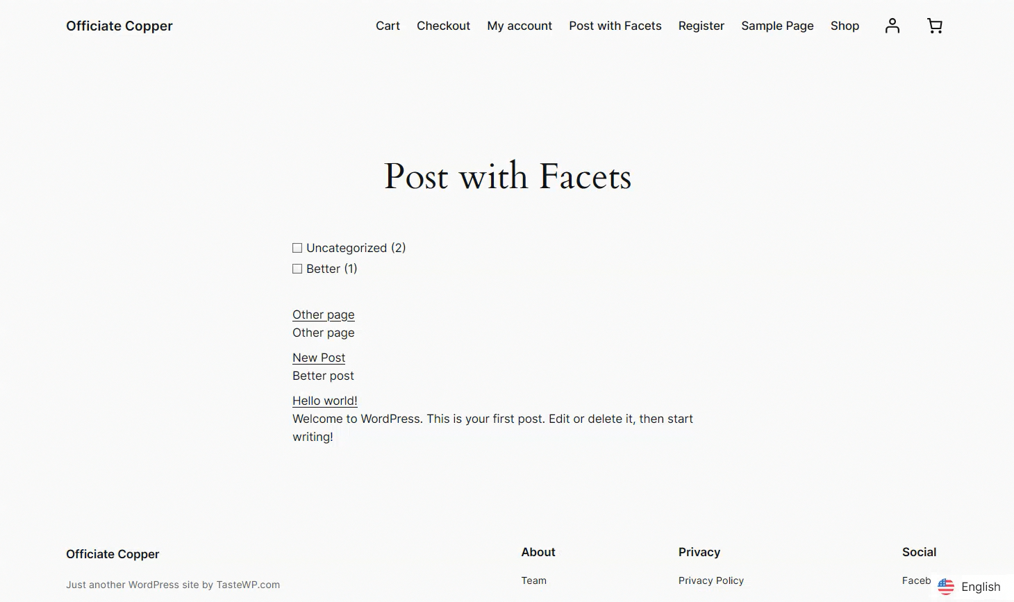 New WordPress integration: FacetWP Filters now adapt to your language automatically