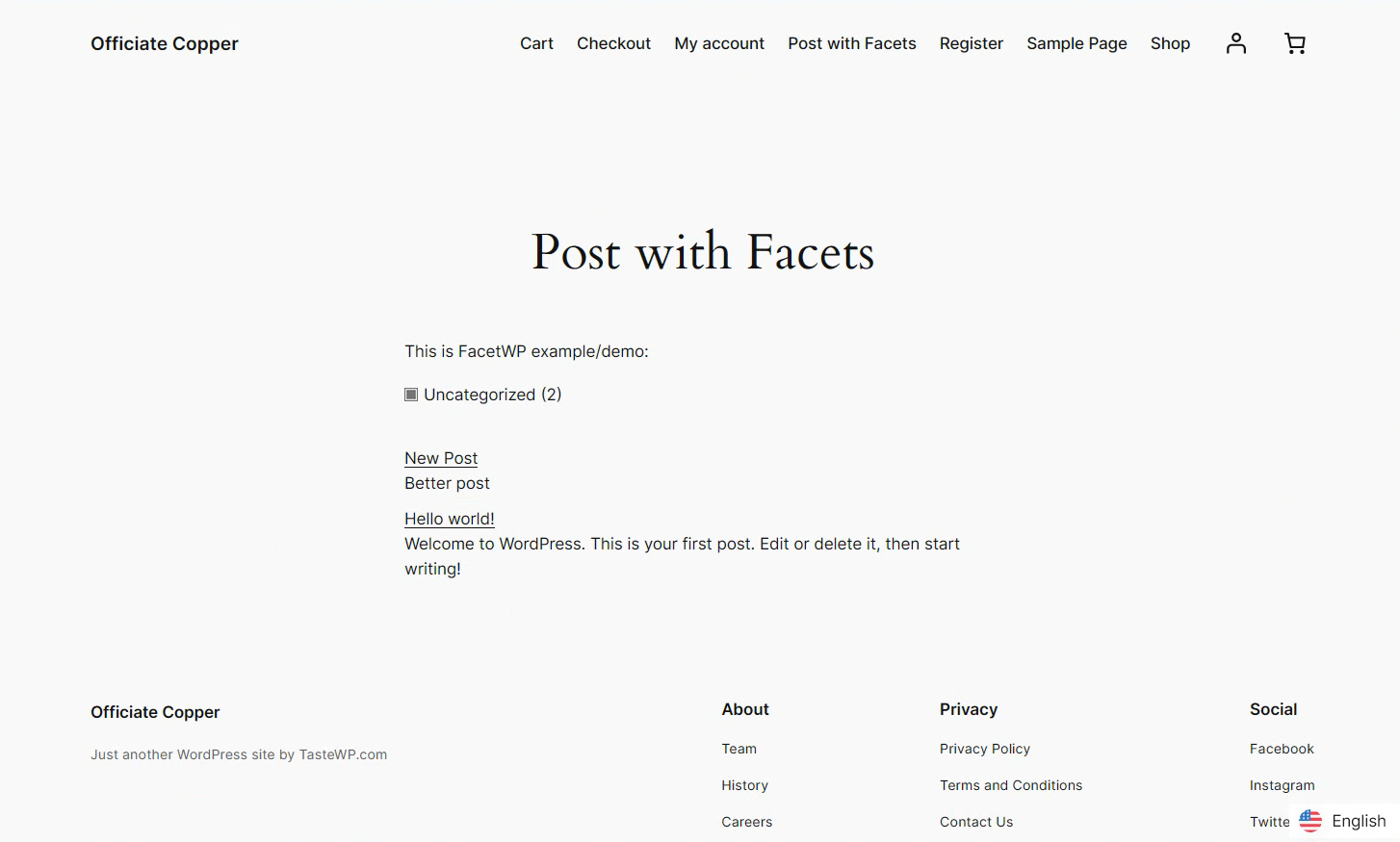 New WordPress integration: FacetWP Filters now adapt to your language automatically