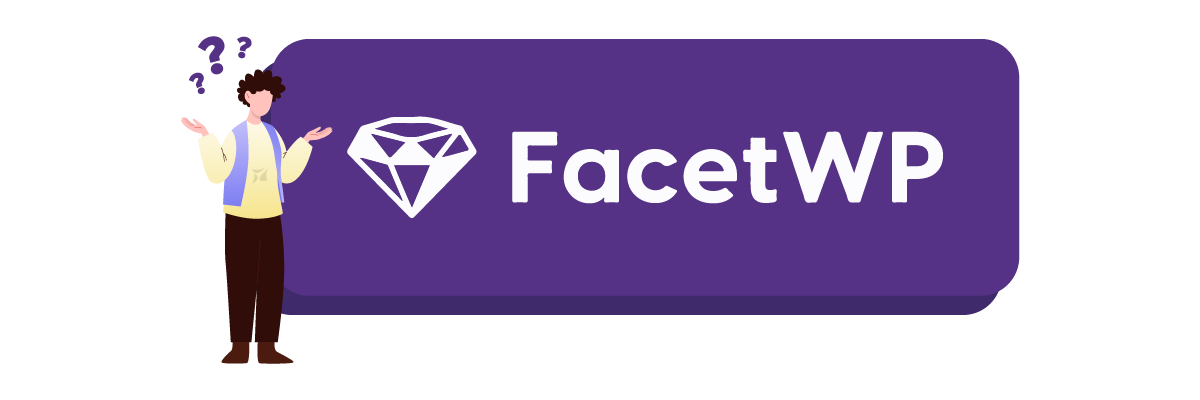 New WordPress integration: FacetWP Filters now adapt to your language automatically